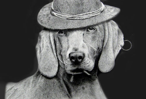 帽子をかぶった犬の絵