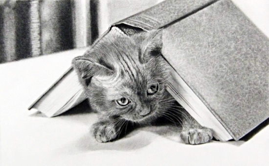 本に隠れた子猫の絵